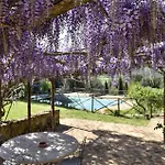 Pet Friendly In With Wifi Casole dʼElsa